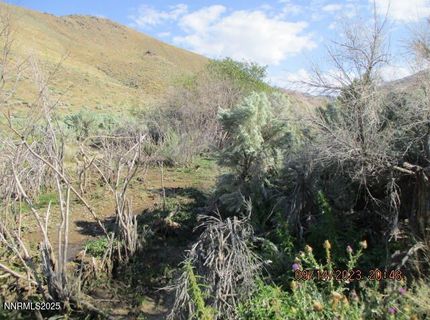 00-horse Creek Ranch Road N Horse Creek Ranch, Orovada, NV 89425 Photo