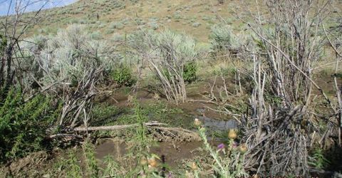 00-horse Creek Ranch Road N Horse Creek Ranch, Orovada, NV 89425 Photo
