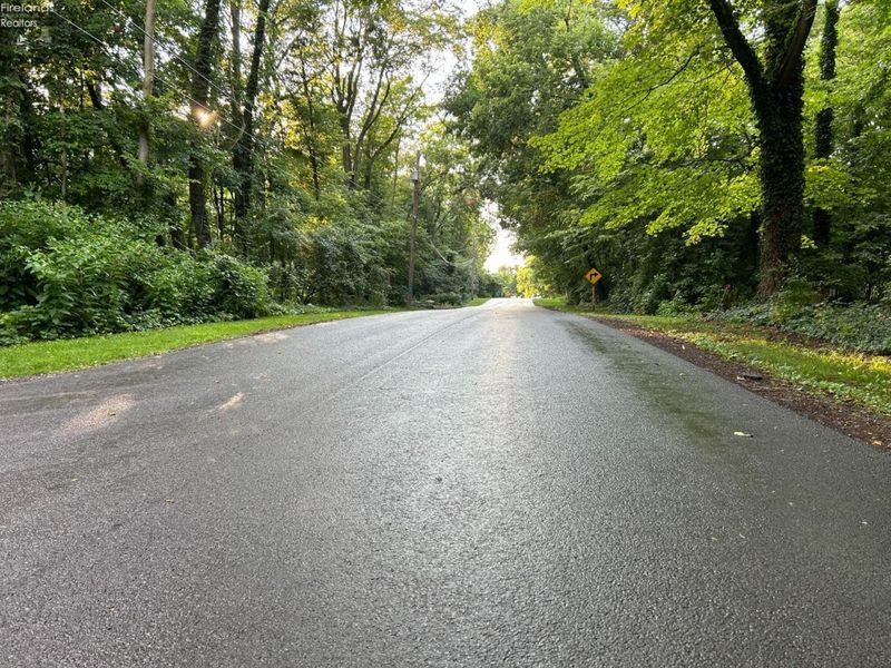 1 Farragut, Put in Bay, OH 43456 Photo 16