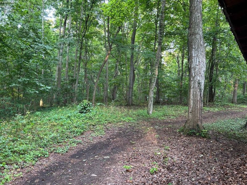 1 Farragut, Put in Bay, OH 43456 Photo 7