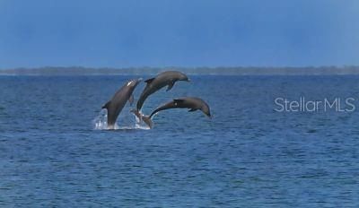 8779 Midnight Pass Road, Unit 401H, Sarasota, FL 34242 Photo