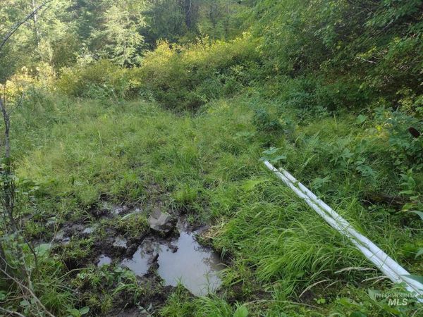 480 Burnt Creek Rd., CottonWood, ID 83522