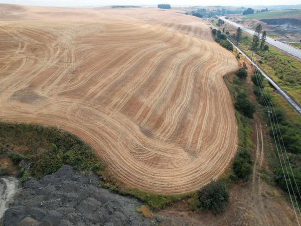 5200-5800 SR 270 Hwy, Pullman, WA 99163