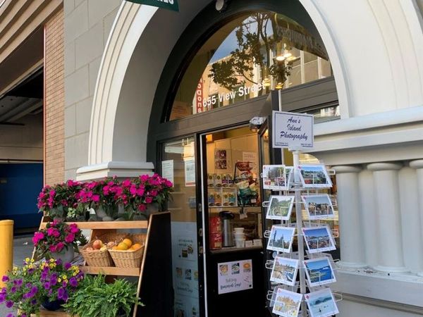 655 View St, Victoria, BC V8W 3Y7