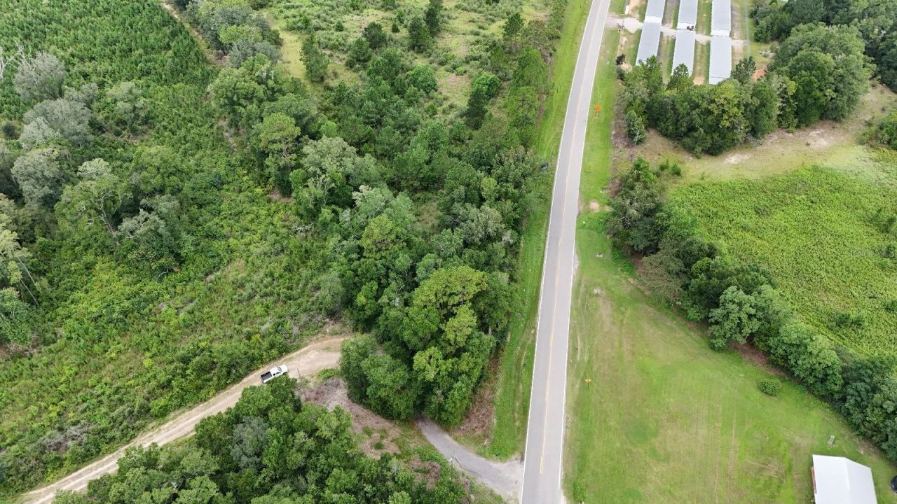 Pate Pond Road, Caryville, FL 32427 Photo