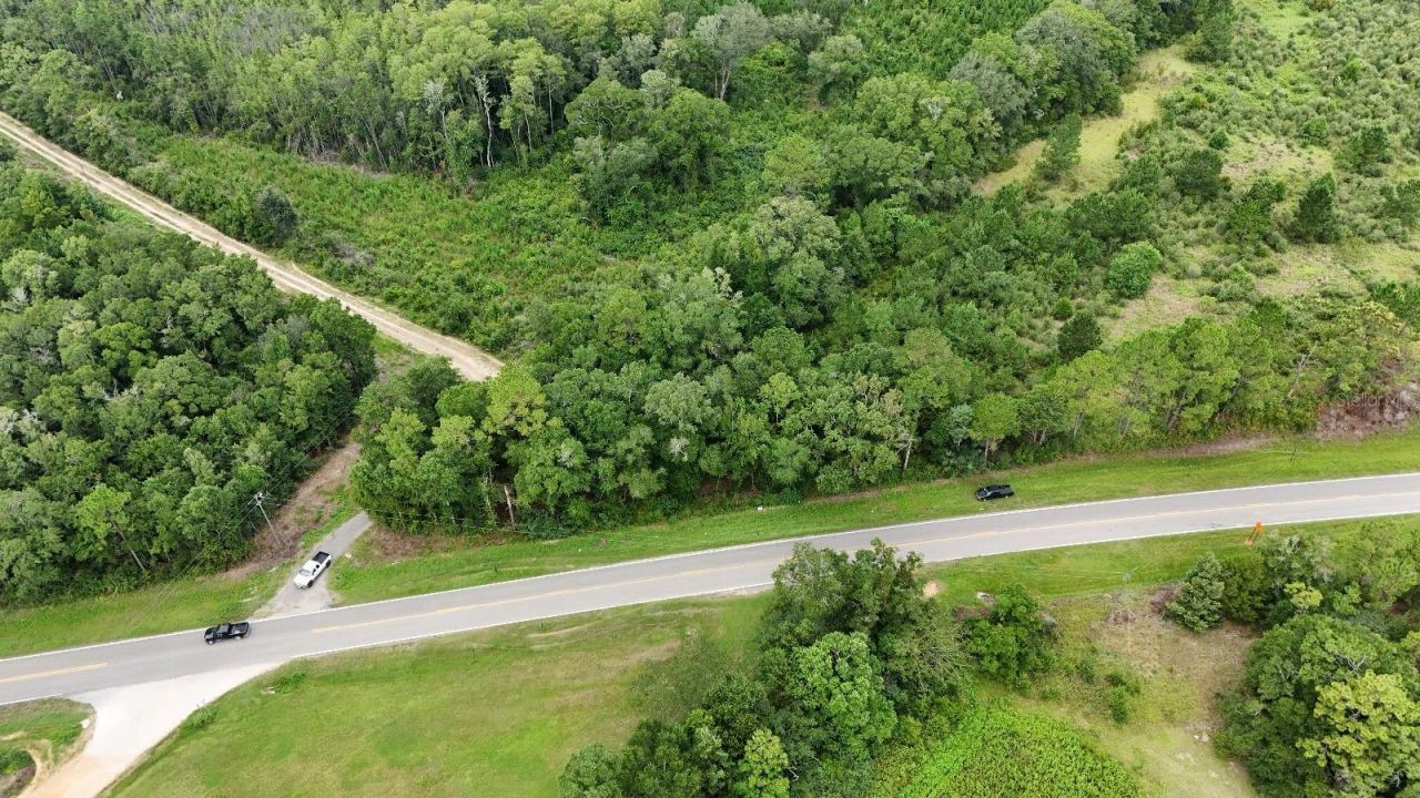 Pate Pond Road, Caryville, FL 32427 Photo