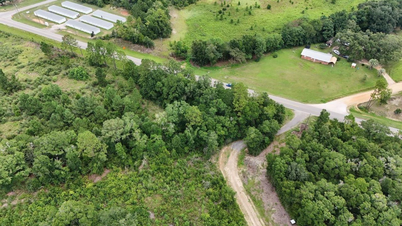 Pate Pond Road, Caryville, FL 32427 Photo