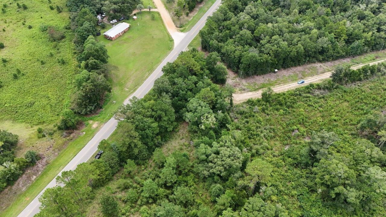 Pate Pond Road, Caryville, FL 32427 Photo