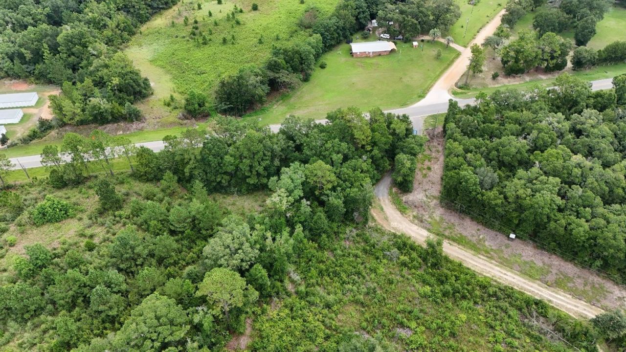 Pate Pond Road, Caryville, FL 32427 Photo