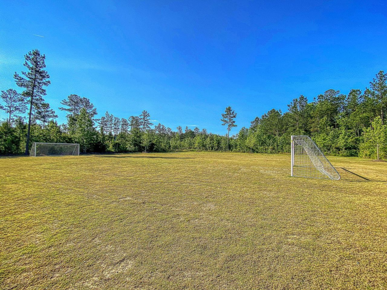 259 W Bradford Pointe Drive Photo 36