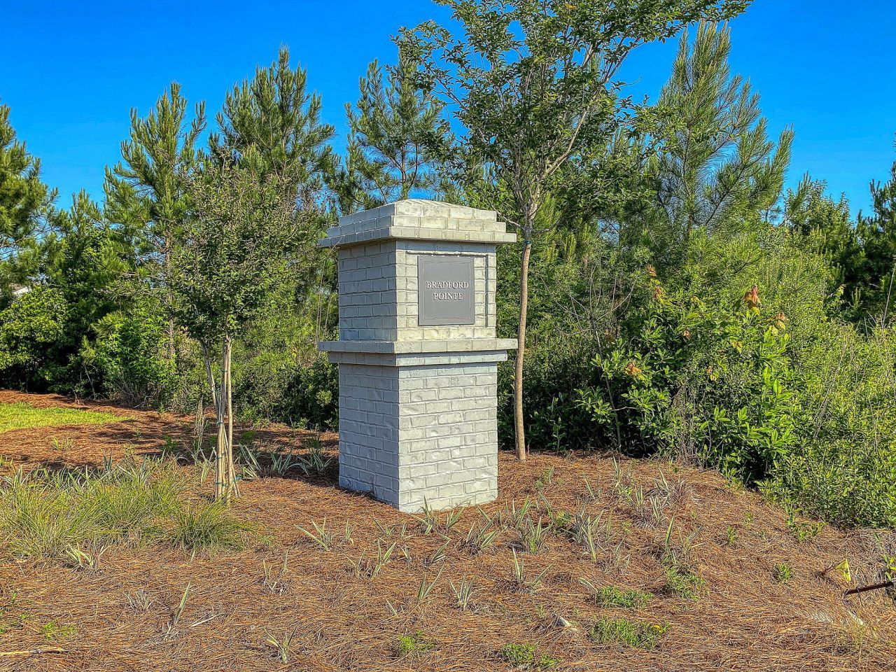 259 W Bradford Pointe Drive Photo 38