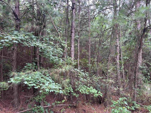 Lot 5-D McGregor St., Lake City, SC 29560