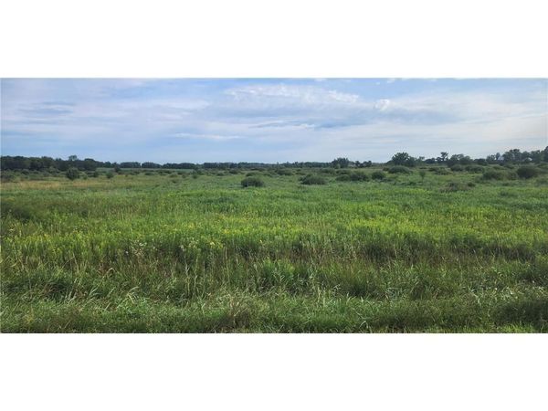 16698 130th Street, Foreston, MN 56330