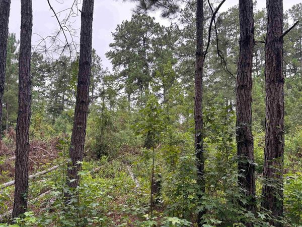 Lot 11-D McGregor St., Lake City, SC 29560