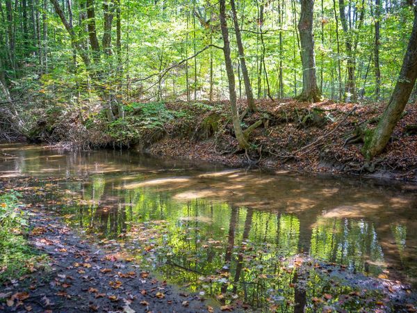 V/L 2.46A E White River Drive, Hesperia, MI 49421