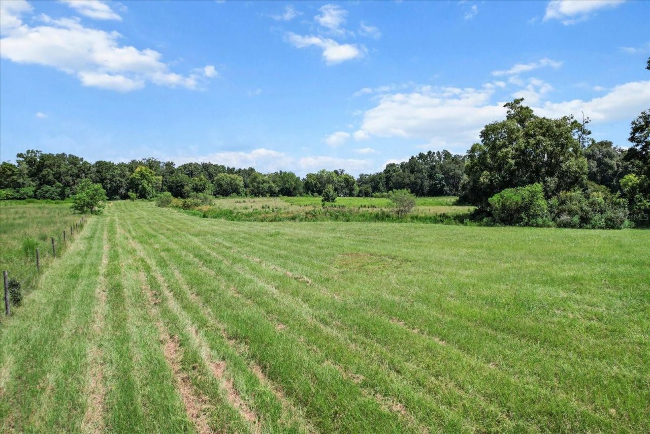 6177 Cr 625, Bushnell, FL 33513 Photo