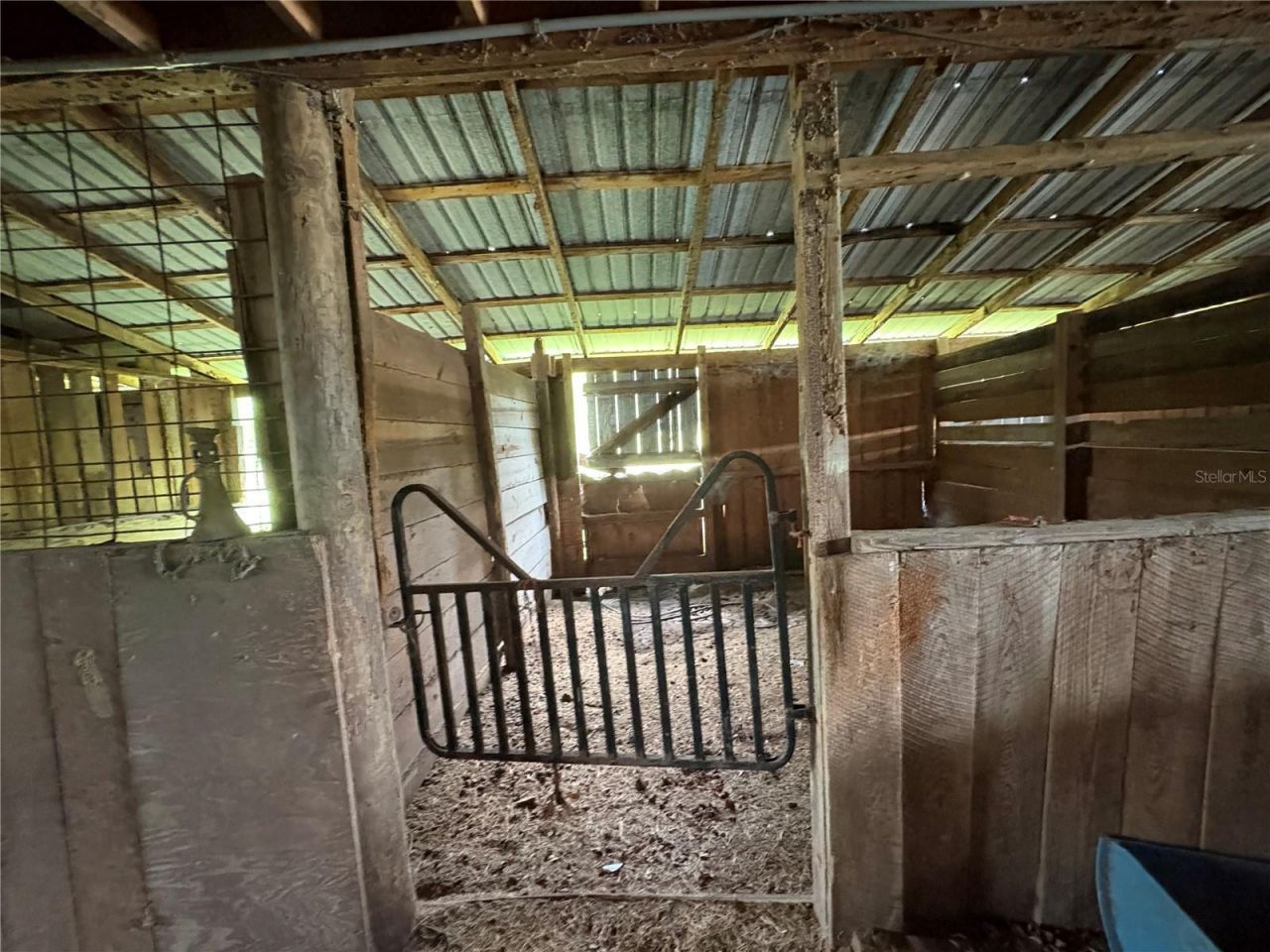 6177 Cr 625, Bushnell, FL 33513 Photo