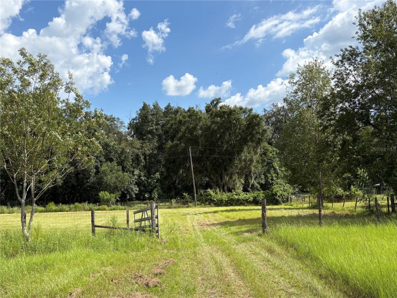 6177 Cr 625, Bushnell, FL 33513 Photo