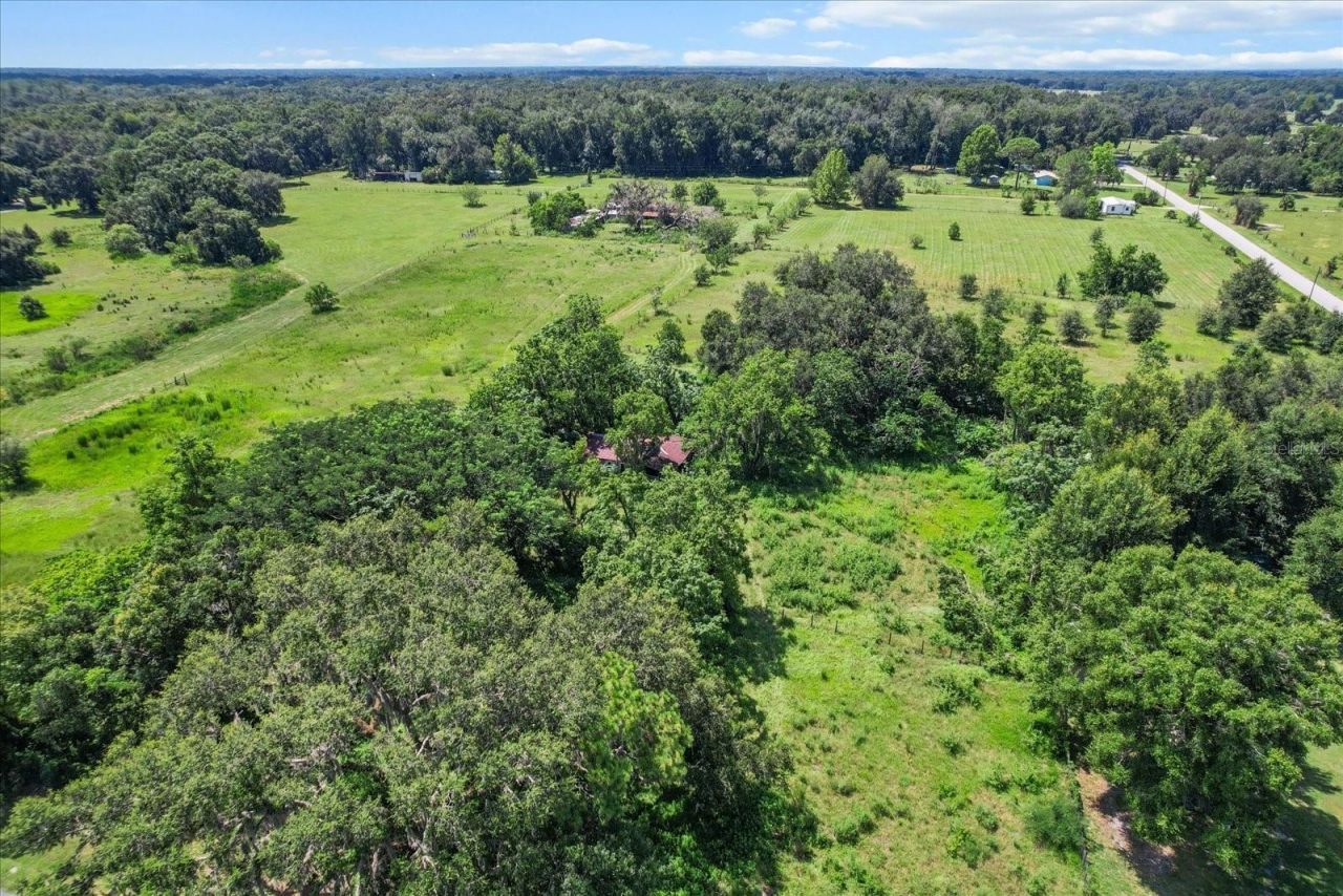 6177 Cr 625, Bushnell, FL 33513 Photo