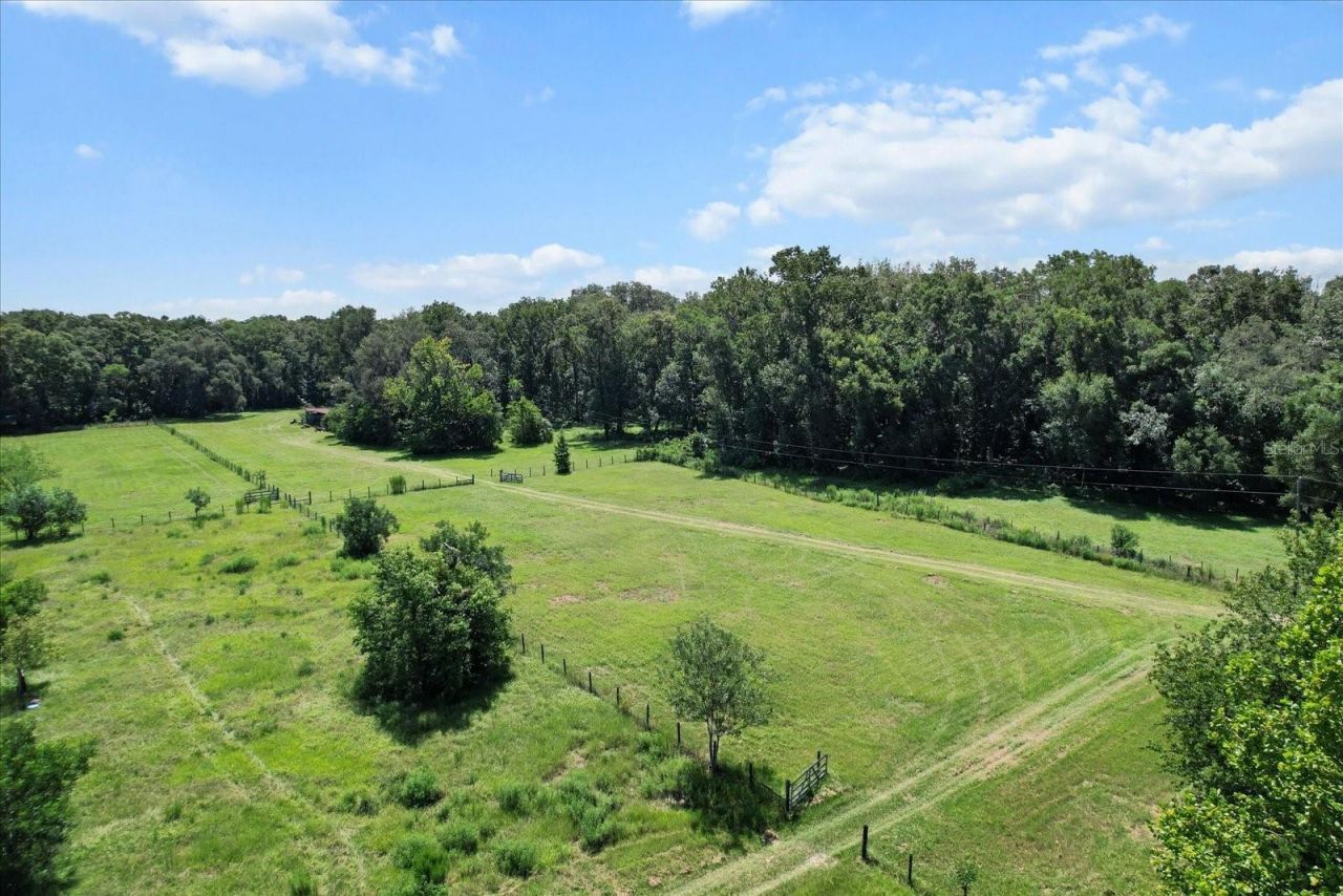 6177 Cr 625, Bushnell, FL 33513 Photo