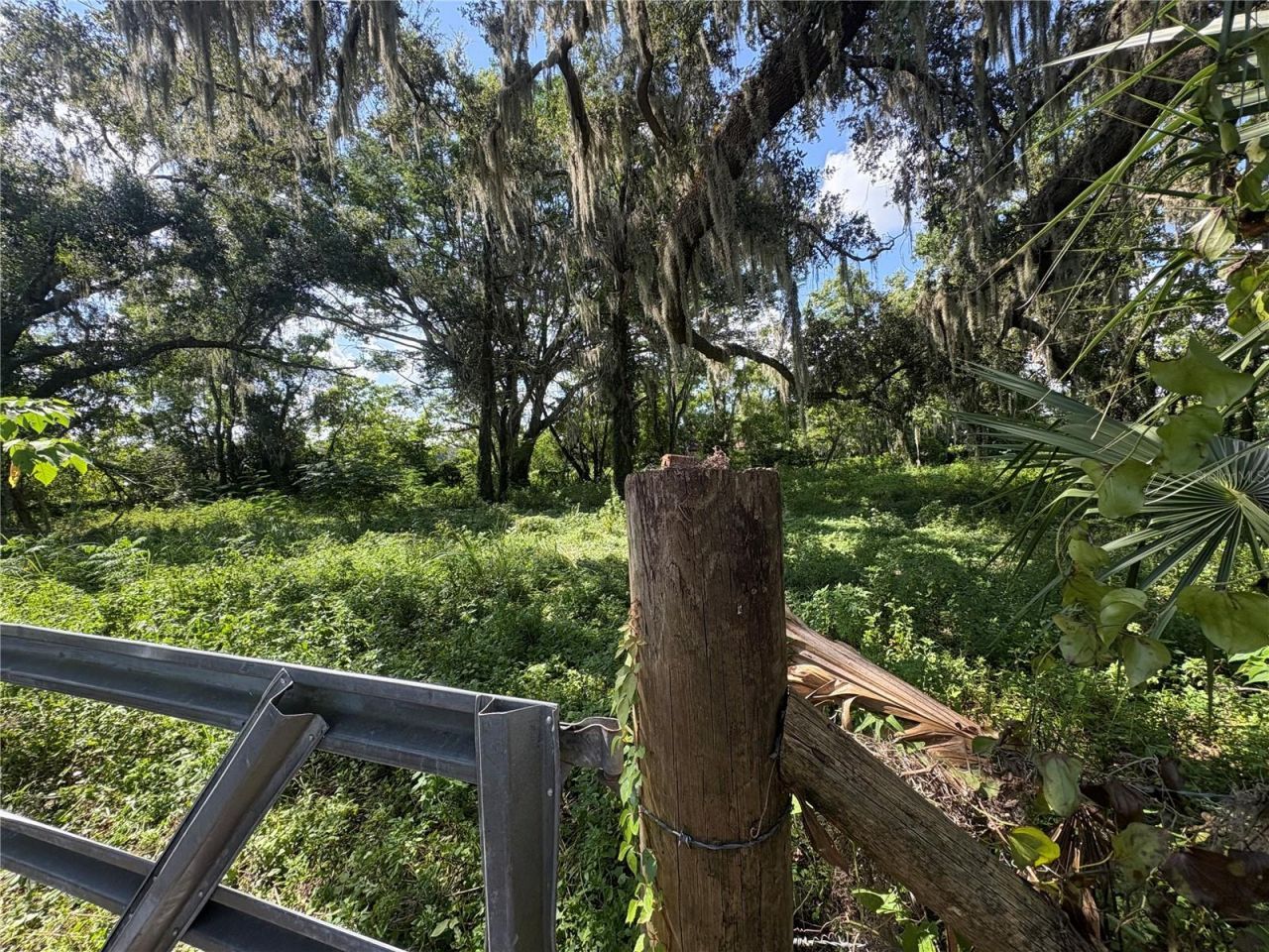 6177 Cr 625, Bushnell, FL 33513 Photo