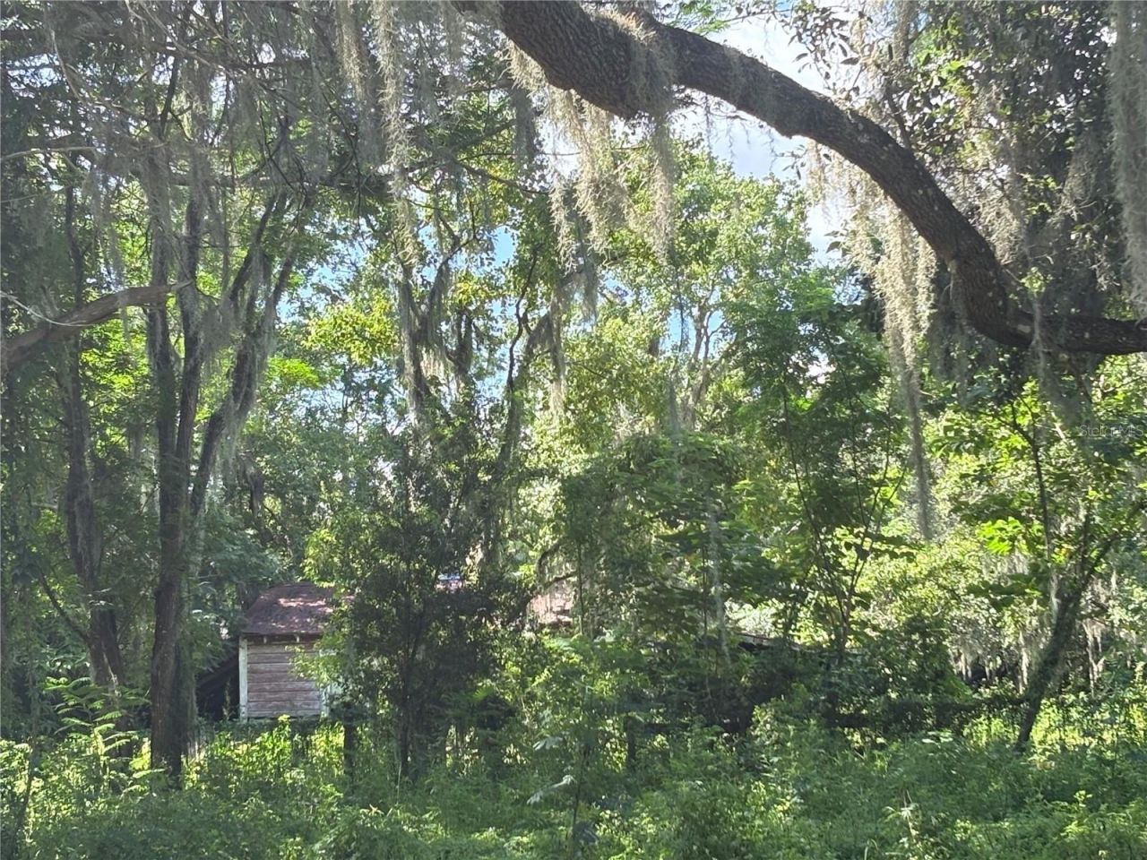 6177 Cr 625, Bushnell, FL 33513 Photo