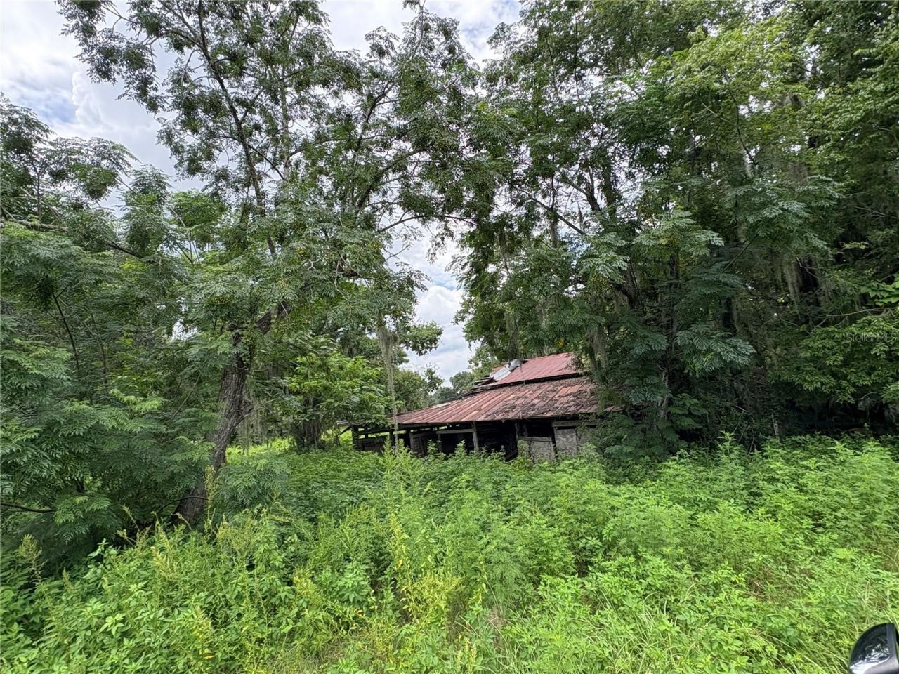 6177 Cr 625, Bushnell, FL 33513 Photo