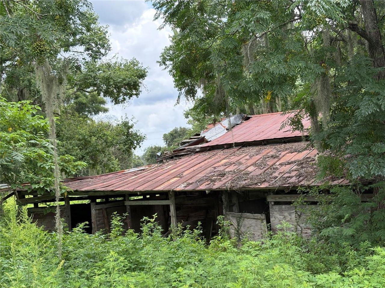 6177 Cr 625, Bushnell, FL 33513 Photo