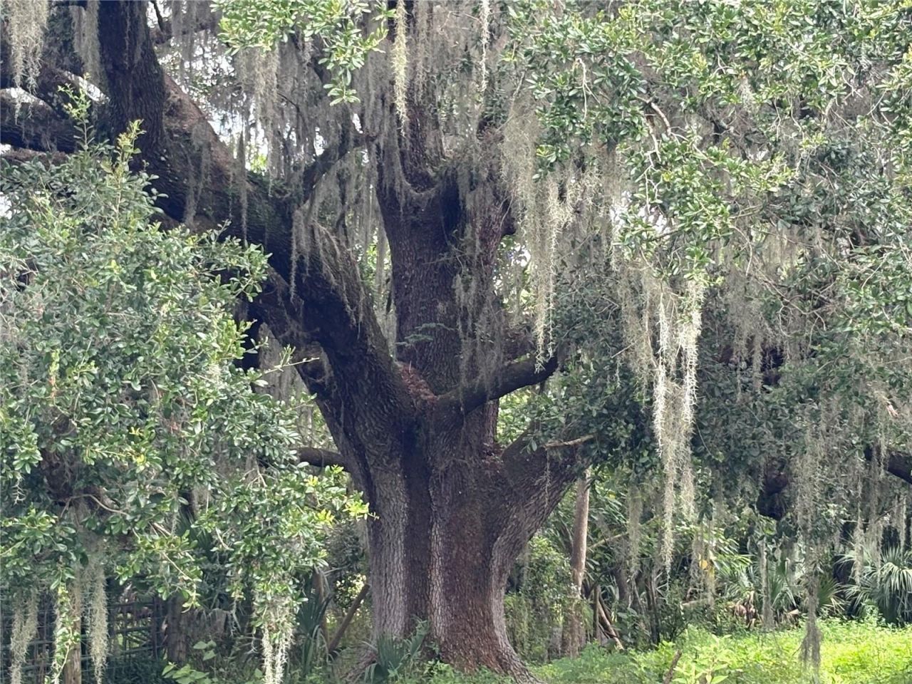 6177 Cr 625, Bushnell, FL 33513 Photo