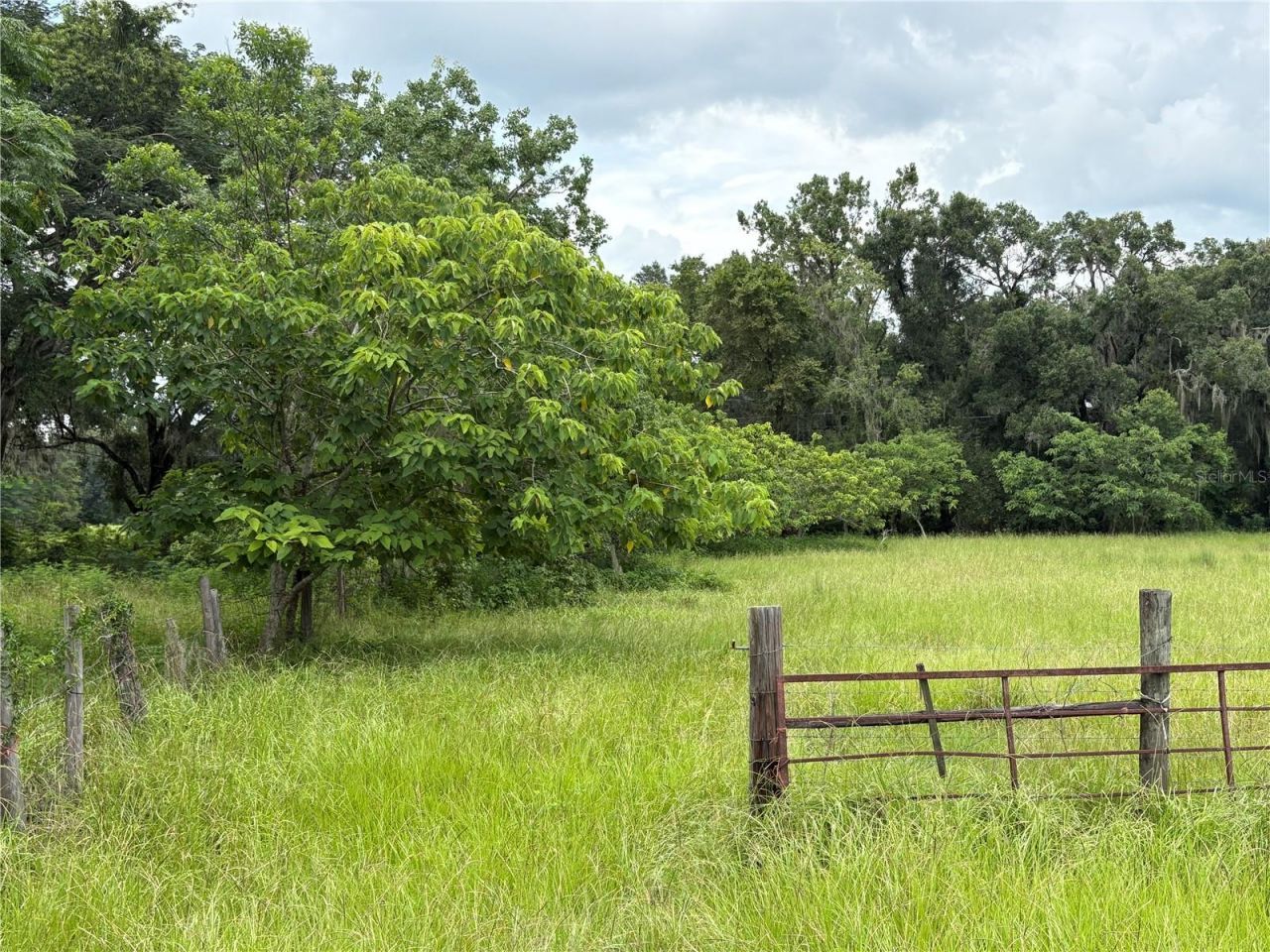 6177 Cr 625, Bushnell, FL 33513 Photo