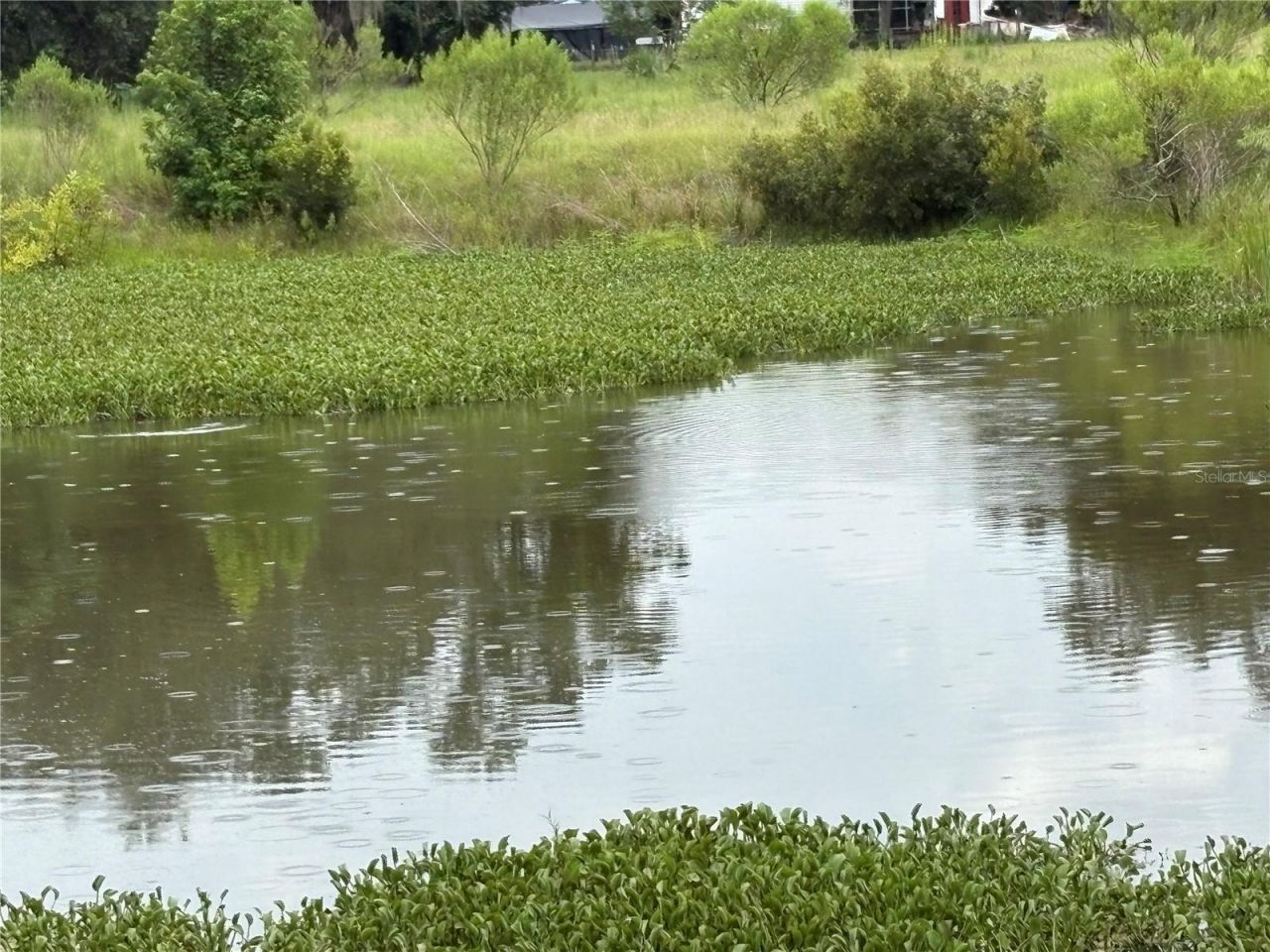 6177 Cr 625, Bushnell, FL 33513 Photo