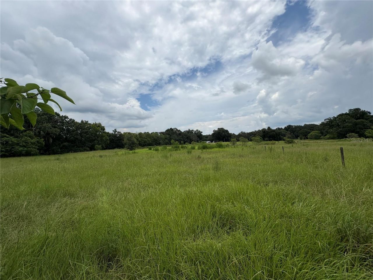 6177 Cr 625, Bushnell, FL 33513 Photo