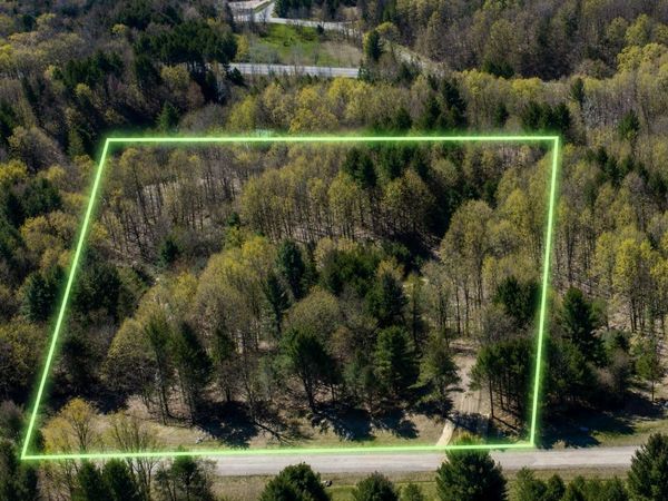 4 Bellinger Road E, Cedar, MI 49621