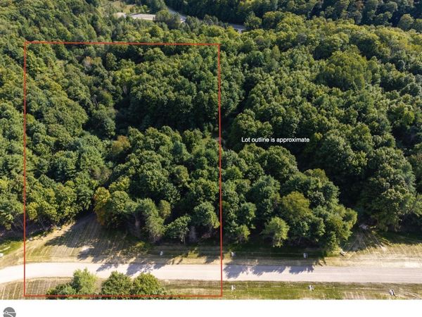 4 Bellinger Road E, Cedar, MI 49621