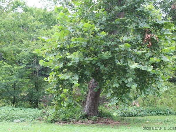 Lot B-1 Pinkie Lane, Laurie, MO 65079