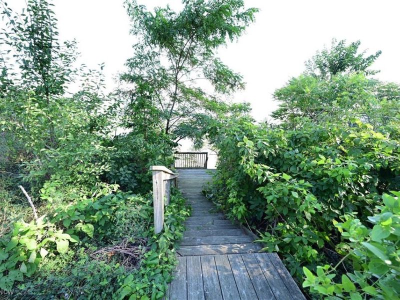 24458 Lake Road, Bay Village, OH 44140 Photo 9