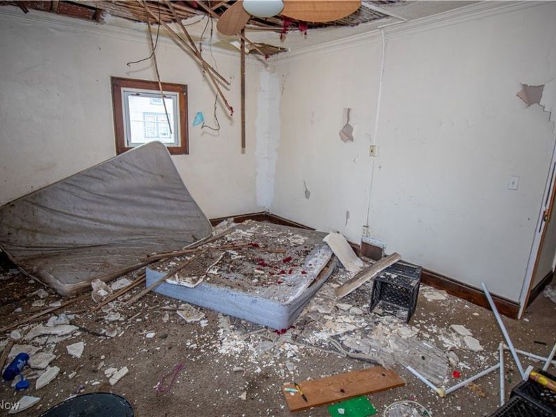 17216 Grovewood Avenue, Cleveland, OH 44119 Photo 15