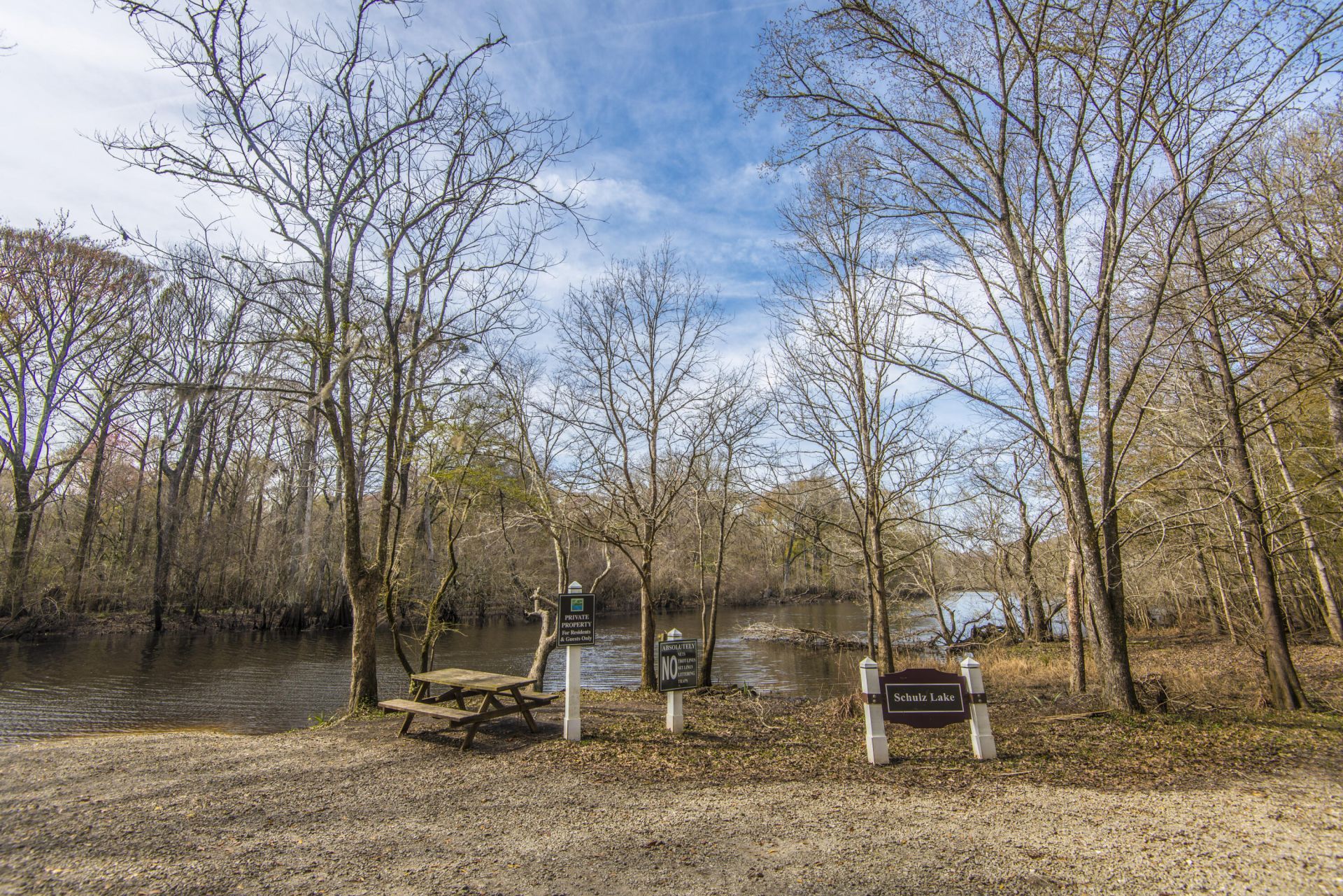 137 Brant Drive Photo 51