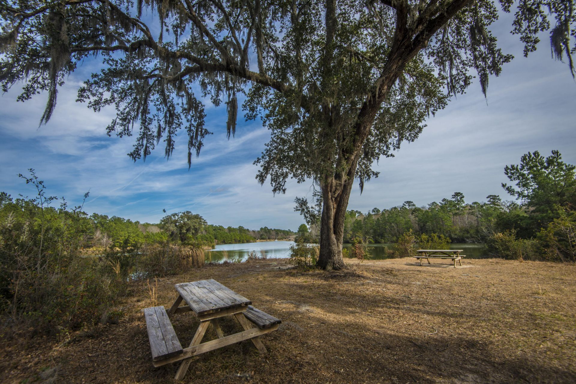 137 Brant Drive Photo 52