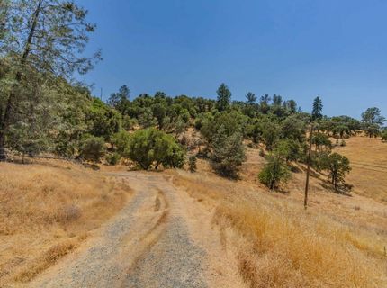 14651 Bunker Hill Rd, Amador City, CA 95685 Photo