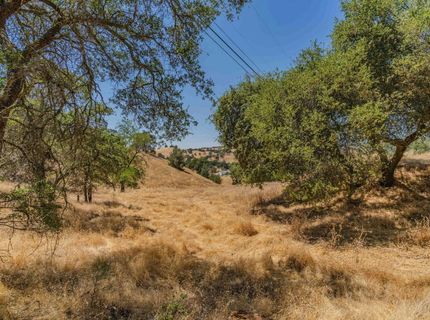 14651 Bunker Hill Rd, Amador City, CA 95685 Photo