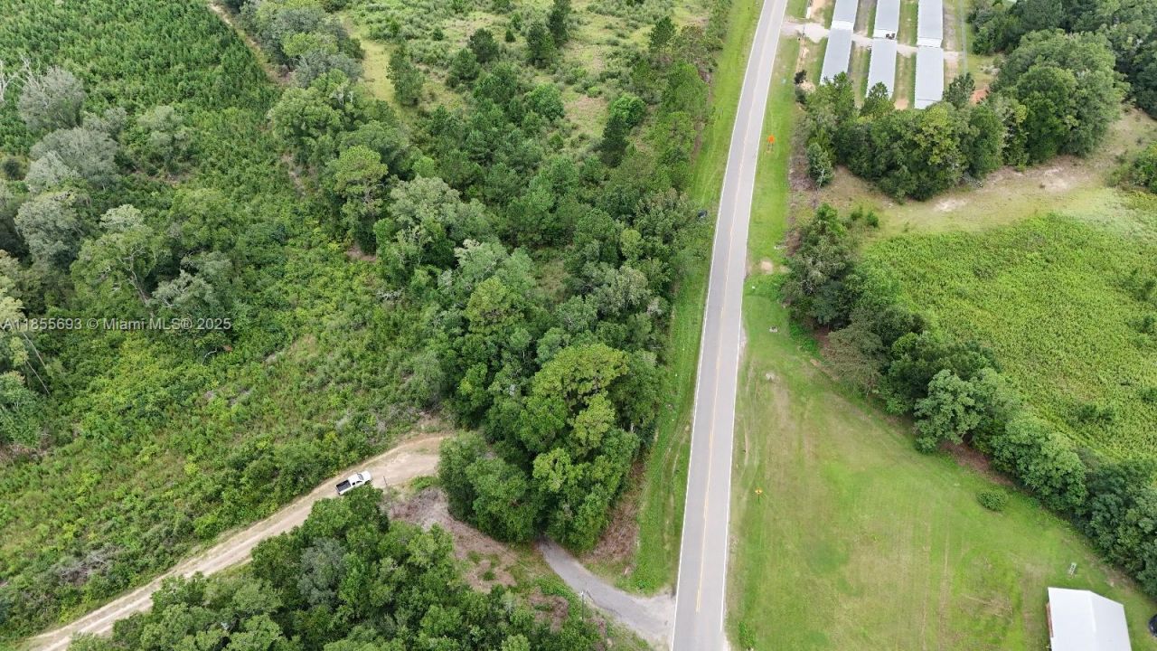 0 Pate Pond Road, Caryville, FL 32427 Photo