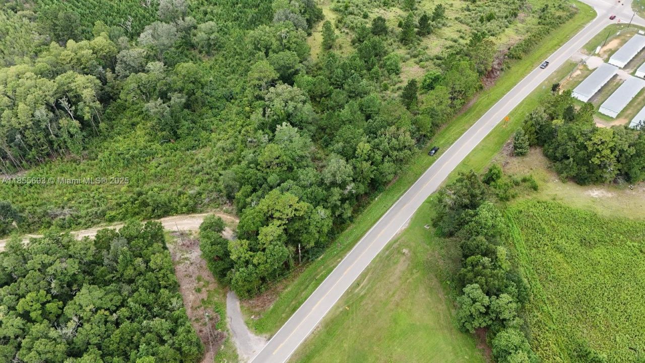 0 Pate Pond Road, Caryville, FL 32427 Photo