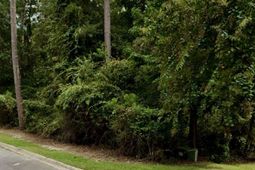 204 Deer Crossing Road photo 4