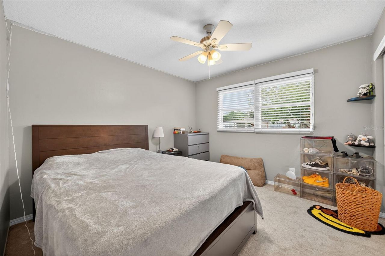 300 Davison Avenue Ne, Saint Petersburg, FL 33703 Photo