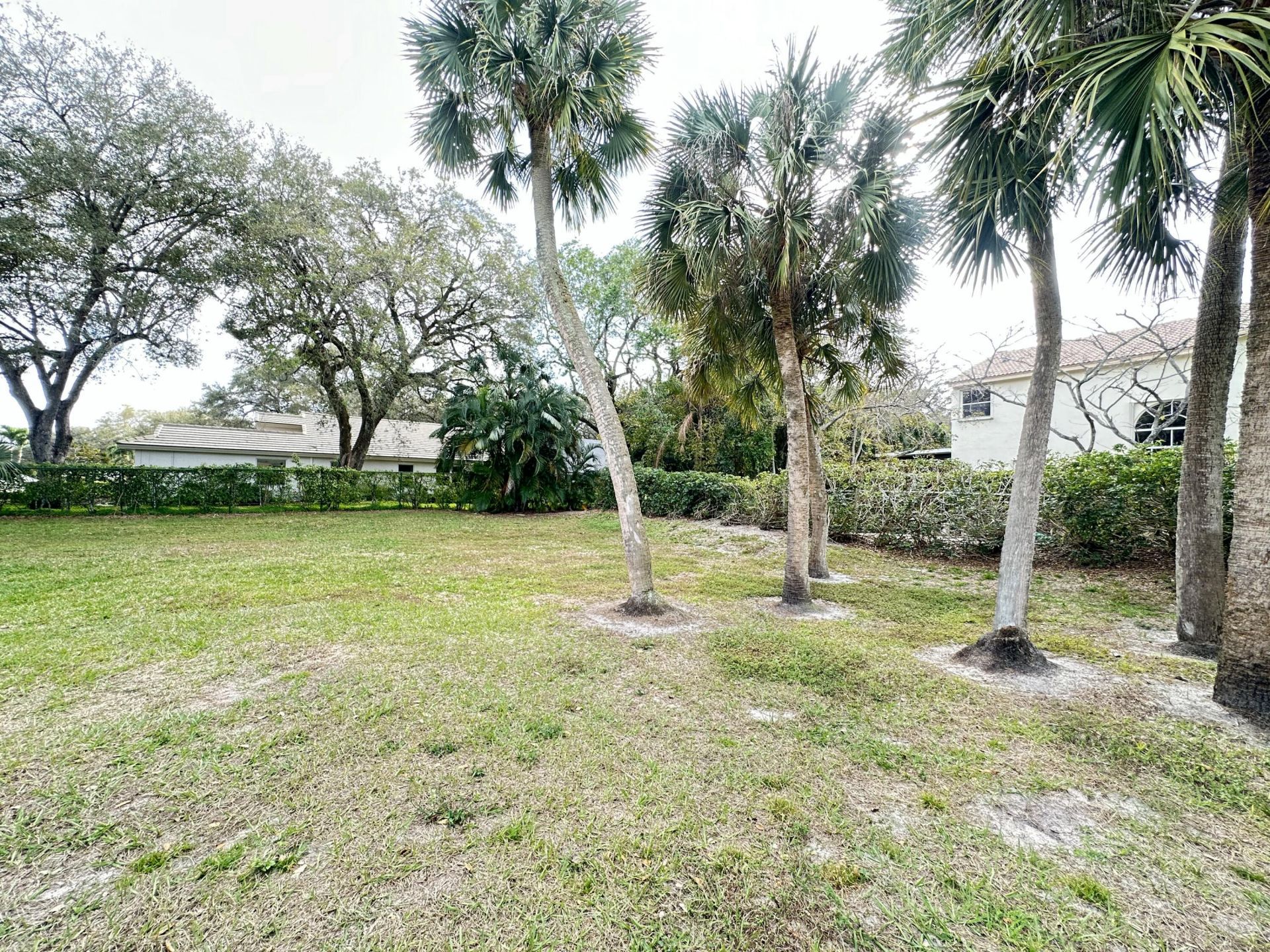 7729 Forest Green Lane, Boynton Beach, FL 33436 Photo