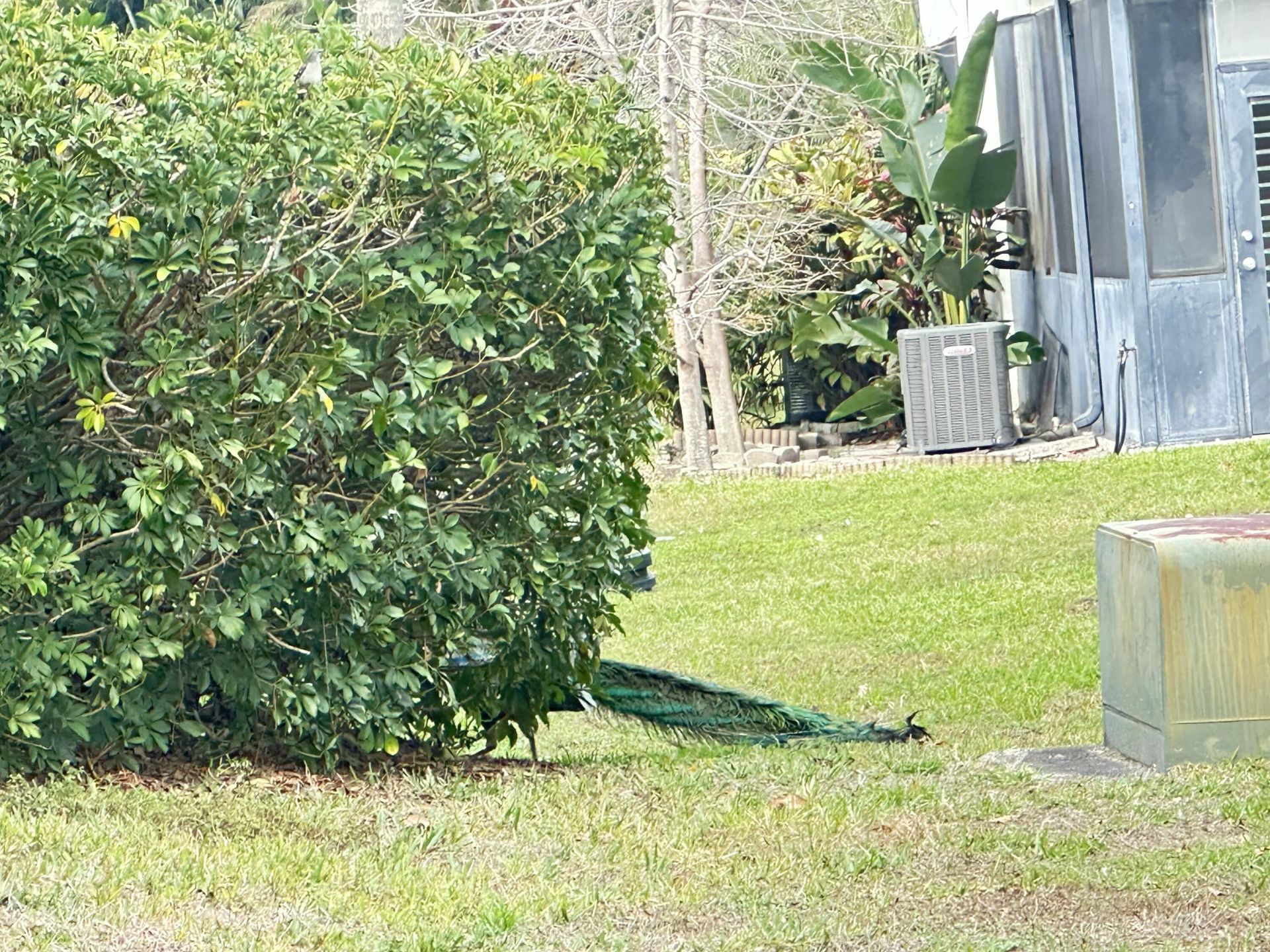 7729 Forest Green Lane, Boynton Beach, FL 33436 Photo