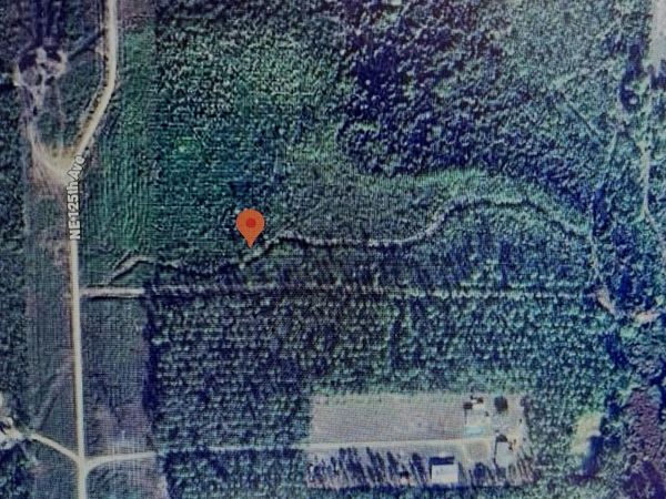 Tbd Ne 125th Ave, Fort McCoy, FL 32134