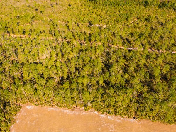 0000 Ne 125th Ave, Fort McCoy, FL 32134