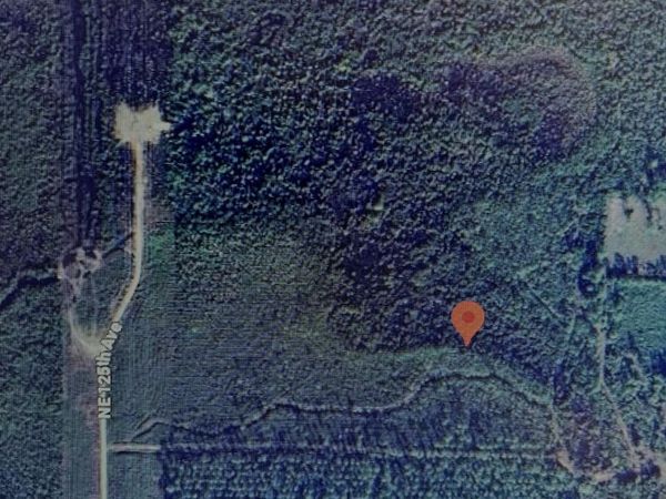 Tbd Ne 125th Ave, Fort McCoy, FL 32134